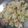 lipika 's cooksnap of when they made Veg biryani.
