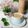 Cooksnap dari Nantik untuk resep 491. Roasted Milk Tea