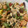 El cooksnap de macondiana03 cuando hizo Bol de pollo, batata y aguacate.