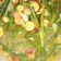 Cooksnap dari Royanda untuk resep Tumis udang kacang panjang
