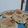 El cooksnap de MariCastrillo cuando hizo Galletas de avena y coco.