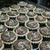 Cooksnap dari myida Cake`s Malang untuk resep Pie Brownies keju 🍛