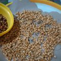 Cooksnap dari Rasih Sri Dewanti untuk resep Kacang bawang gurih renyah