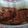 Cooksnap dari Elly Hara untuk resep Sarden saus tomat ala gskg