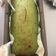 Cooksnap dari vya untuk resep Spinach Cake