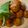 Vidyutaa Kashyap's cooksnap of when they made Winter Special Methi Gota - Gujarati Style Fritters - Methi Bhajiya Pakora.