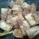 Cooksnap dari Ragazoack SiBalungitem untuk resep Tahu tempe bacem