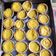 Cooksnap dari Evan Angel untuk resep PIE SUSU (lontar)