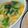 Cooksnap dari Bety NP untuk resep Capcay sayur