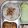 Cooksnap dari auliatb untuk resep Nasi Ayam Hainan Ricecooker 海南鸡饭