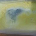 Cooksnap dari Dian Lestari untuk resep Ice Cream Homemade (nutrisari mangga)