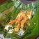 Cooksnap dari Rindang Riadinastiti untuk resep Nasi Bakar Ayam Kemangi