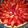 El cooksnap de Monica Gonzalez cuando hizo Tarta de frutillas con crema Chantilly.