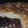 El cooksnap de MalenMelyAS cuando hizo Torta de pera.