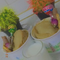 کوک اسنپ masome بعد از امتحان کردن ماگ کیک(mug cake).