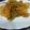 Aruna Thapar's cooksnap of when they made Radish pods moongre ki sabji.