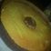 El cooksnap de Tandela cuando hizo Budín de mandarina.