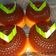 Cooksnap dari Hannanan untuk resep Puding lumut gula merah