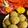 Mauli Mankad's cooksnap of when they made ભાખરી ના લાડુ (Bhakhri Ladoo Recipe In Gujarati).