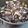Cooksnap de Clara Pinguet sur la recette Moules bouchot à la marinière