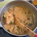 Cooksnap akhmal fauzi semasa beliau membuat Kari ayam simple & sedap.