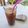 Δέσποινα Καρπούζα's cooksnap of when they made How To Make Thai Tea At Home • Easy Recipe •Thai Iced Lime Tea