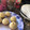 El cooksnap de Alejandra cuando hizo Cupcakes de vainilla con chips de chocolate.