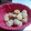 El cooksnap de Luciana cuando hizo Scones dulces y fáciles.