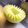 Marisa Govender's cooksnap of when they made Water Melon basket.