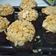 Cooksnap dari poejee untuk resep Muffin Keju