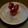 Madhumita Bishnu's cooksnap of when they made Chocolate Dipped Strawberry With Walnuts.