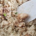 Cooksnap dari Cornelia Wiradja untuk resep Nasi Hainan Rice Cooker