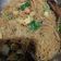 Cooksnap dari Debby untuk resep Bihun Goreng Ala solaria