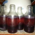 Cooksnap dari Maul Aja untuk resep Nutrijell jelly drink