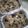 Cooksnap dari Leli Dee Rachman untuk resep Puding Pisang oats kukus(Kreasi oatmeal untuk diet)