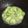 Shi Ting Pon 的 絲瓜炒蝦米 cooksnap