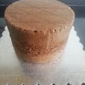 Jacqueline Monyani's cooksnap of when they made Naked Choco mint cake.#4weekschallenge#authormarathon.