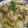 shivani's cooksnap of when they made One pot Mutton briyani in pressure cooker.