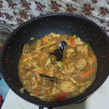 Cooksnap dari LA ALIMIN GYMNASTIAR untuk resep Tongseng Ayam Tanpa Santan
