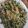 Cooksnap dari Rambu Shanty Diki Dongga untuk resep Urap sayuran