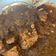 Cooksnap dari Carencia Orlin untuk resep Rendang daging khas padang
