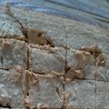صورة من نهى بنت حسين ، شاركها بعد تجربة وصفة كيك الموز 😋😋😋
