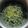 Cooksnap dari Angelina Atha untuk resep Bobor Daun Singkong 예르다🍀