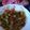 Amber Fawad's cooksnap of when they made Okra Bhujia.