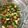 El cooksnap de Diana Marcela Rojas Herrera cuando hizo Ensalada de maíz tierno, tomates y lechugas.