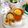 Cooksnap dari Lanjarsih/Mama Fifian ( MasakanRumahan) untuk resep Lemon Tea