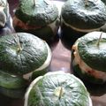El cooksnap de Jazmín Florecia Serrano cuando hizo Zapallitos rellenos de atún.