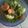 Cooksnap dari Risa Pratiwi untuk resep Sop Dada Ayam