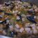 Cooksnap dari Chyntia untuk resep Soup Fillet Ayam Tomat (sup merah)