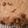 Jason's cooksnap of when they made Oatmeal peanut butter chocolate chip cookies.